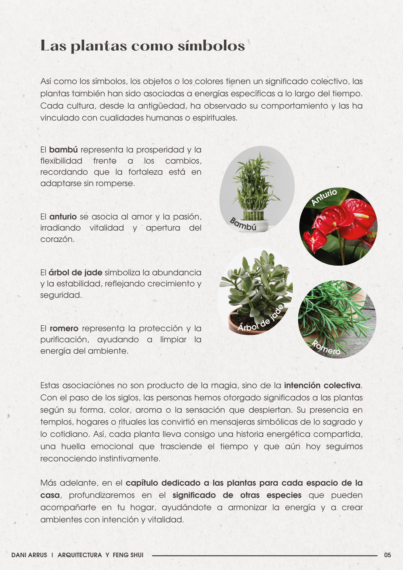 Plantas y Feng Shui