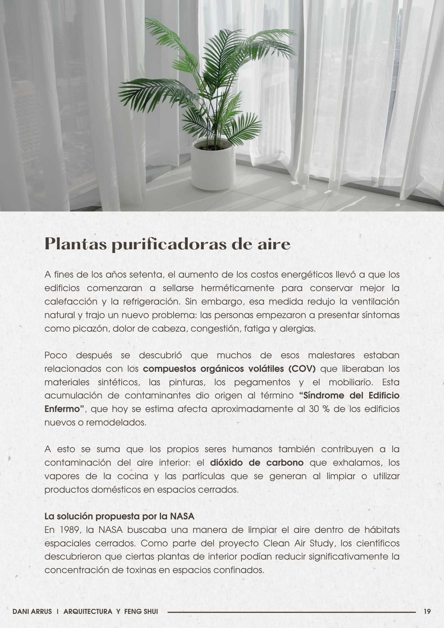 Plantas y Feng Shui