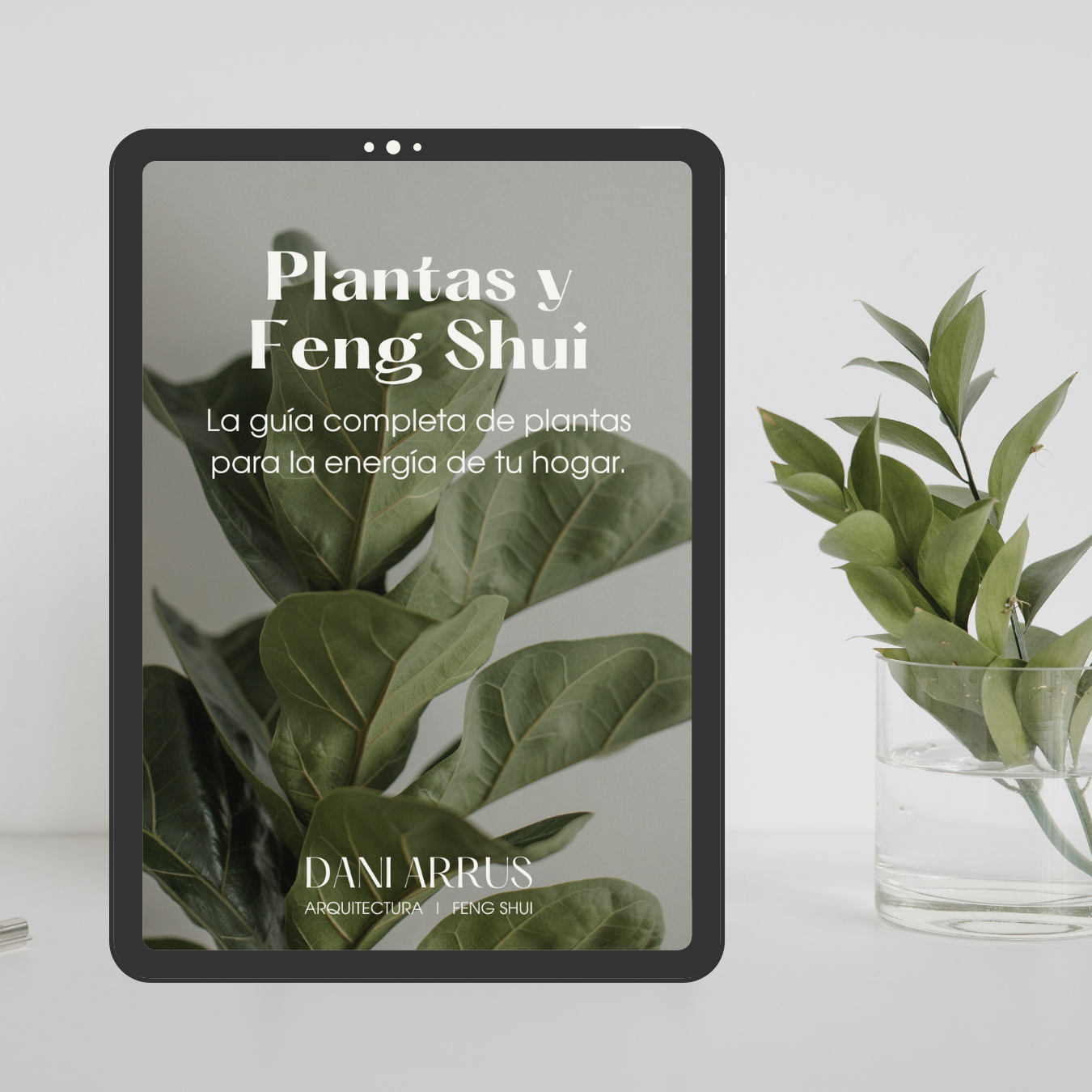 Plantas y Feng Shui