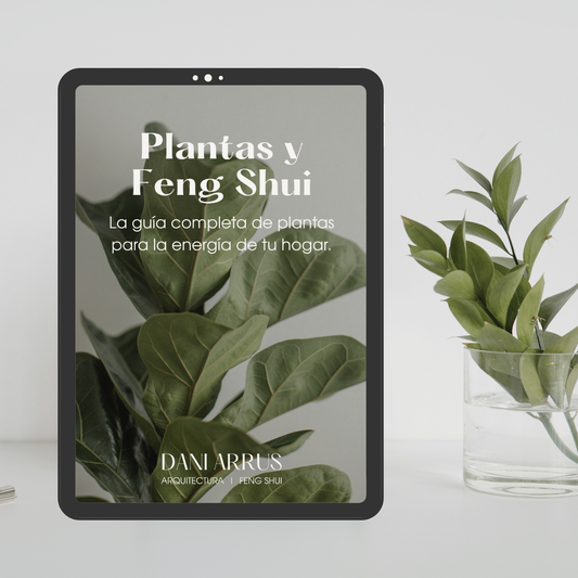 Plantas y Feng Shui